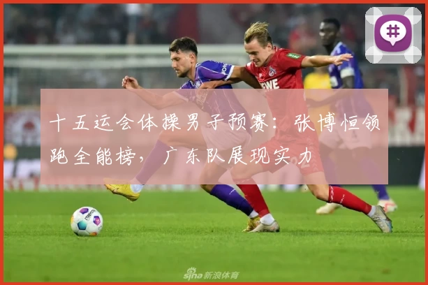 十五运会体操男子预赛：张博恒领跑全能榜，广东队展现实力