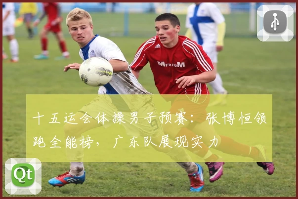 十五运会体操男子预赛：张博恒领跑全能榜，广东队展现实力