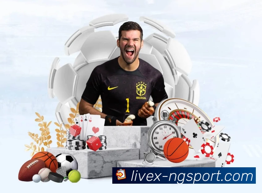 NG体育服务体系